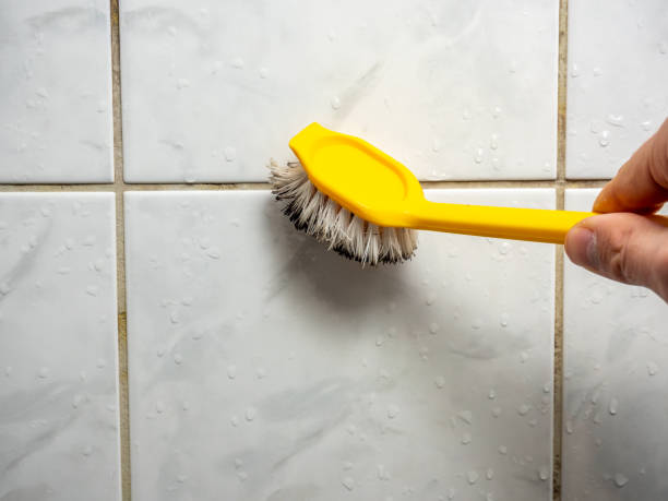 Best Black Mold Removal  in Three Lakes, FL