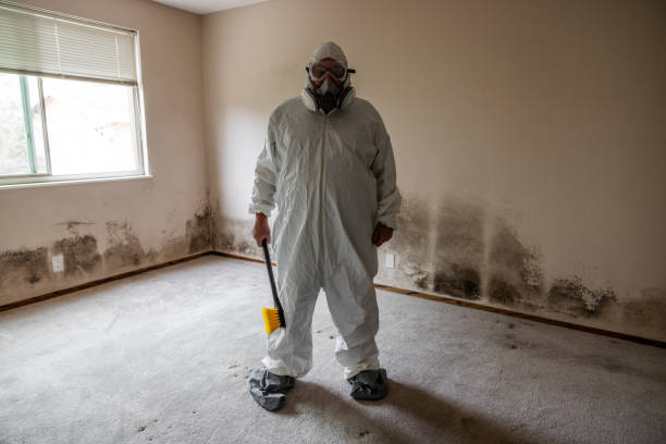 Best Commercial Mold Removal  in Three Lakes, FL